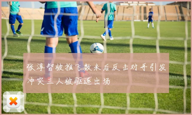 张淳智被推飞数米后反击对手引发冲突三人被驱逐出场