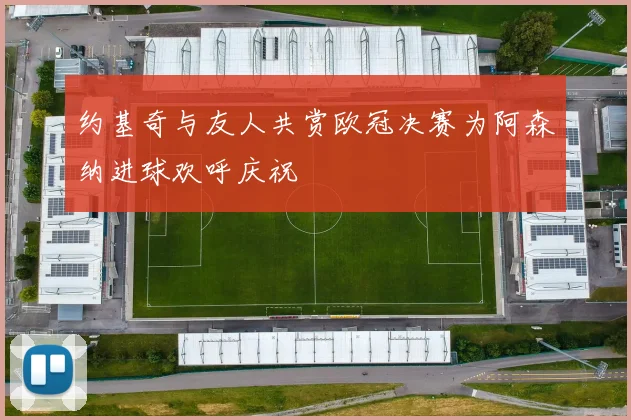 约基奇与友人共赏欧冠决赛为阿森纳进球欢呼庆祝